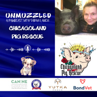 Unmuzzled: A Pawdcast with Chicagoland Pig Rescue