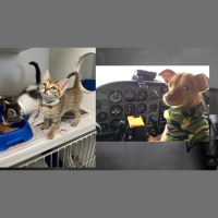 Unmuzzled: A Pawdcast with Dr. Peter Rork-Founder, Dog is My Copilot
