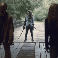 The Walking Dead 9x09 - Adaptation