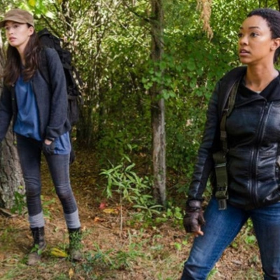 Zombie: Cultura Popular - The Walking Dead