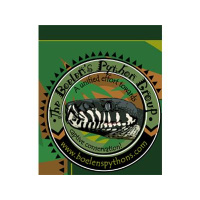 Marc Spataro talks Boelens pythons