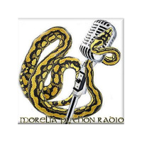 Morelia python radio Holiday show with Luke Snell