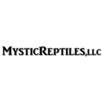 Chris Cannarozzi from Mystic Reptiles is back