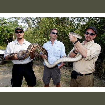 Morelia Pythons Radio