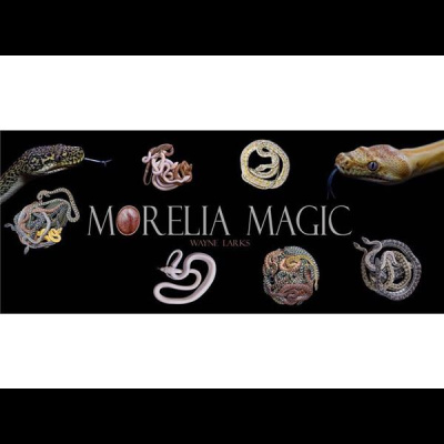 Morelia Pythons Radio