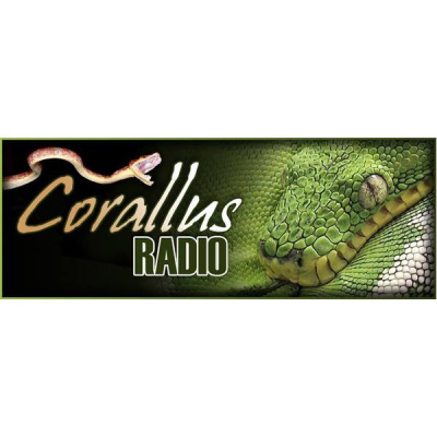Morelia Pythons Radio