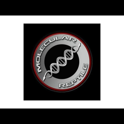 Morelia Pythons Radio