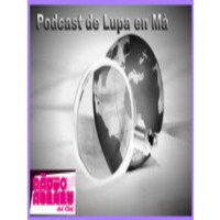 LEM 1-2 diada-independentista 12-09-2012