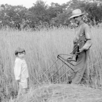 Survival is Improvisational: Casual Labor in Postwar America with Maia Silber