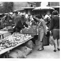Links in the Chain: Department Stores in Socialist Yugoslavia, 1950s-1980s with Ivana Zimbrek
