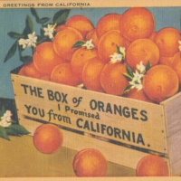 Unpeeling the Orange Empire: Citrus  Art in the Archive with Suzy Kopf