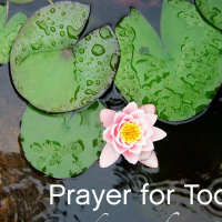 Prayer for Choosing Love Now