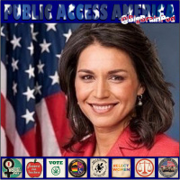 Stop Overthrowing Governments- Tulsi Gabbard-HI (D2)