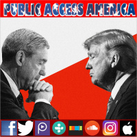The Mueller Report Part 2 - Russian Social Media Campaign