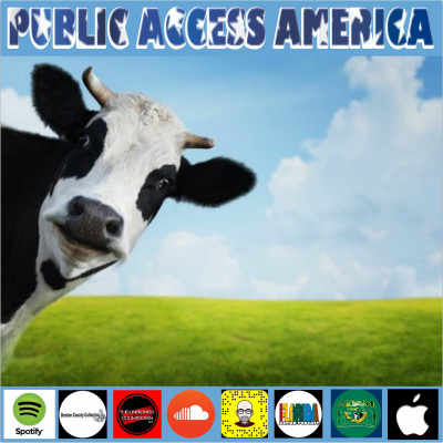 Public Access America