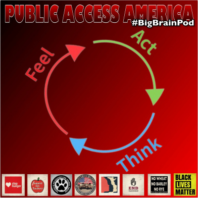Public Access America
