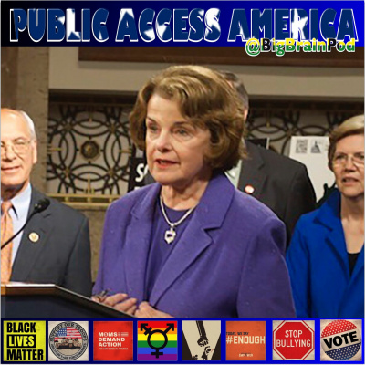 Public Access America