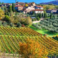 How to switch off for summer