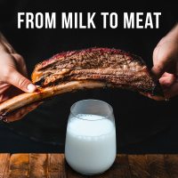 From Milk to Meat