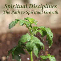 Spiritual Disciplines - The Path to Spiritual Growth (Local Fellowship)