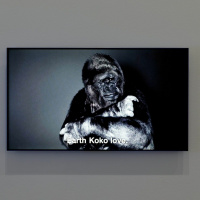 A Biography of Daphne Artist talks: Erik Bünger, Inge Meijer, and Katie West