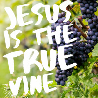 10/22/23 - Jesus Is The True Vine