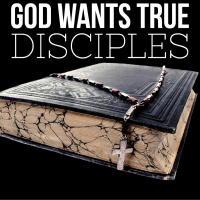 11/12/23 - God Wants True Disciples