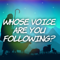 10/29/23 - Whose Voice Are You Following?