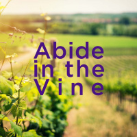 Abide in the Vine