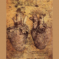 Being Lutheran Bonus – Vocation and Biblical Counseling, Part 2