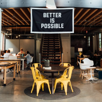 Startup or Scam?