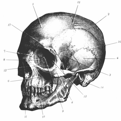 Cognitive Engineering