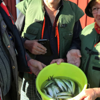 Suhteemme ihmisiin, luontoon, tuleen ja kriiseihin