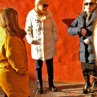 Koukun paneeli kartoittaa Skånen suomalaisverkostot