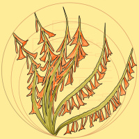 Dr. Diane Campbell: Diversity from Adversity