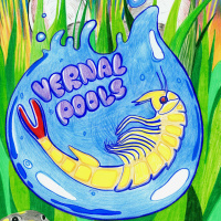 Radiobio Dispatches: Vernal Pools