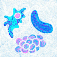 Dr. Shannon Bennett: From the Field to the Museum