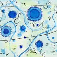 RadioBio Interviews Dr. Anita Sil