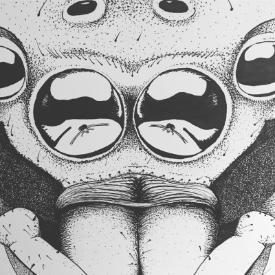 Radiobio