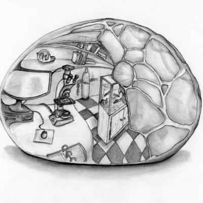 Radiobio