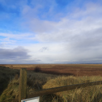 What The New Year Holds