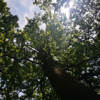 Habits and how to build them. #AudioMo: 2 June 2021