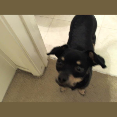 Official Sandra London Radio Network