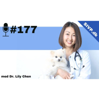 SIVP177: Østlig filosofi møder vestlig konvention i en holistisk tilgang med Dr. Lily Chen