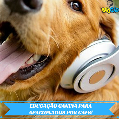 Papo Cão