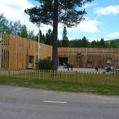 Kielipuoli
