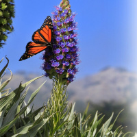 March 26, 2023 Getting Vulnerable Rev. KC Slack