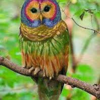 The Shape of a Life, Barbara Searle