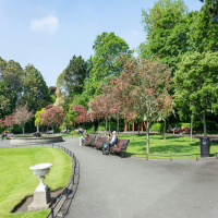The impact a lack of green space has on people living in inner cities
