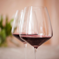 Why is alcohol so intertwined with our social lives?